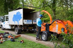 Commercial tree surgery - The blue tree company