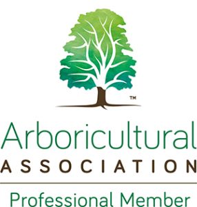 The Blue Tree Company Arb Association